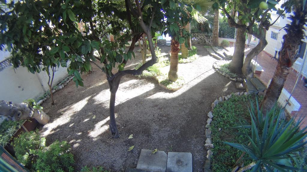 ميورقة La Mimosa Guesthouse المظهر الخارجي الصورة